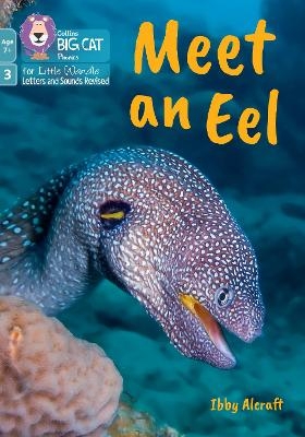 Meet an Eel - Ibby Alcraft