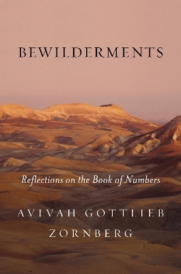 Bewilderments - Avivah Gottlieb Zornberg