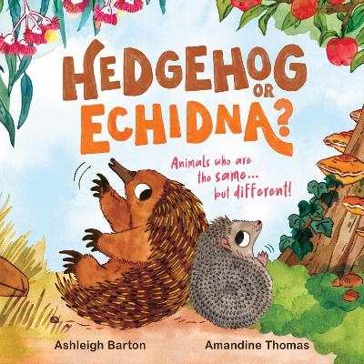 Hedgehog or Echidna? - Ashleigh Barton