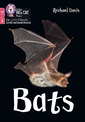 Bats - Rachael Davis