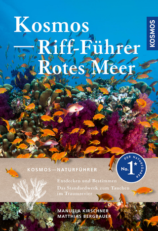 Riff-Führer Rotes Meer