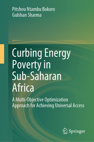 Curbing Energy Poverty in Sub-Saharan Africa