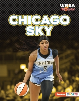 Chicago Sky - Josh Anderson