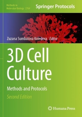 3D Cell Culture