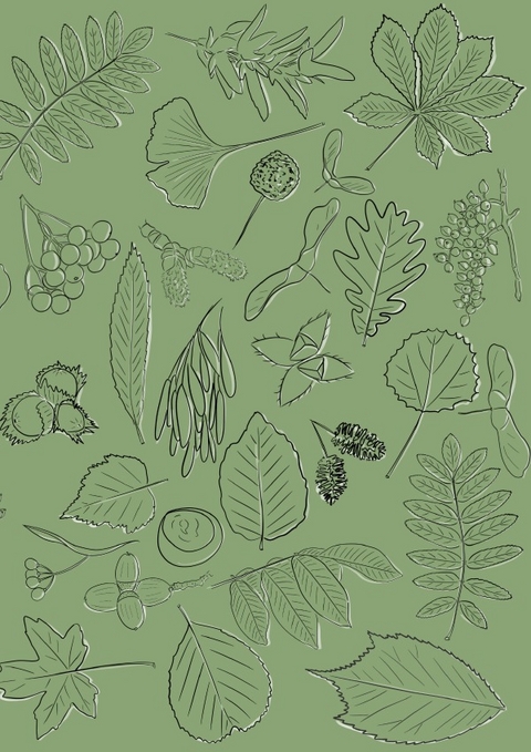 Notizheft Leaves &amp; Fruit - Diana Pfister