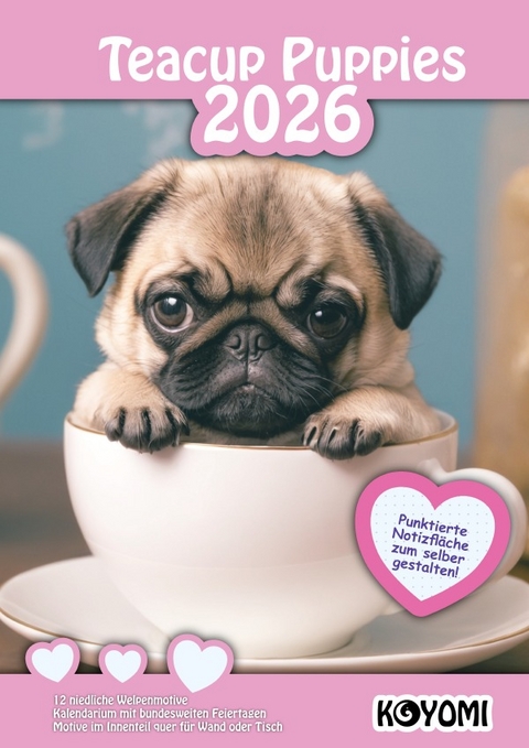 Teacup Puppies - Am&eacute;lie Noah