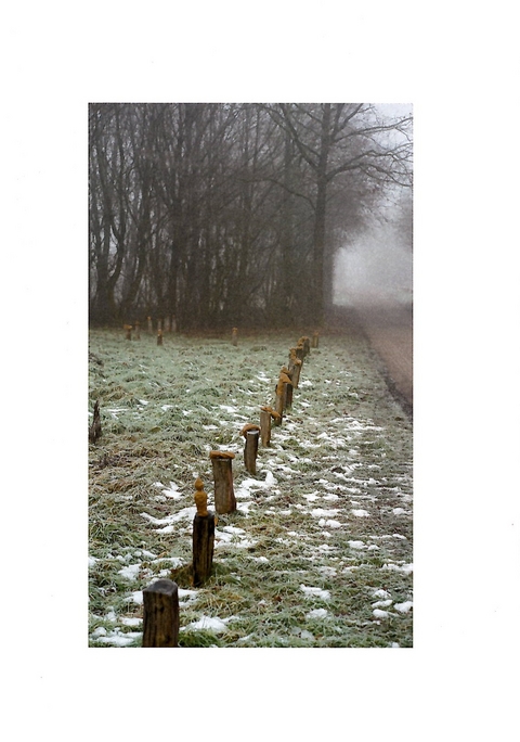 24 Gestalten - Viktoria Schabert