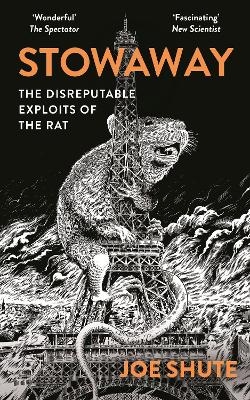 Stowaway - Joe Shute