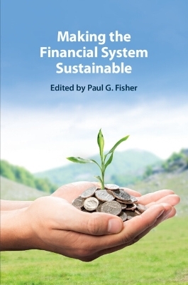 Making the Financial System Sustainable