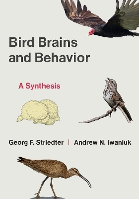 Bird Brains and Behavior - Georg F. Striedter, Andrew Iwaniuk