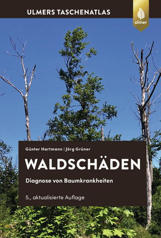 Waldschäden
