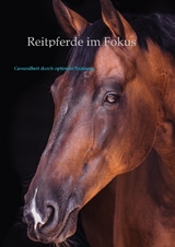 Reitpferde im Fokus - Oliver Rudolph