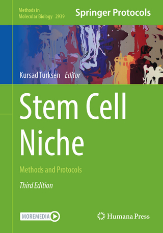 Stem Cell Niche