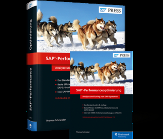 SAP-Performanceoptimierung