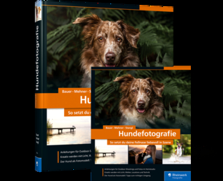 Hundefotografie