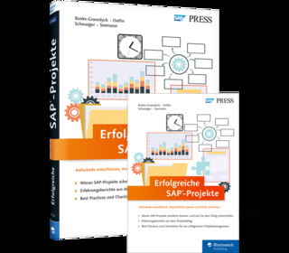 Erfolgreiche SAP-Projekte