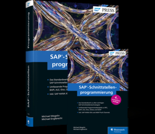 SAP-Schnittstellenprogrammierung