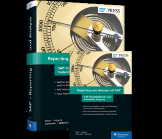 Reporting und Analyse mit SAP