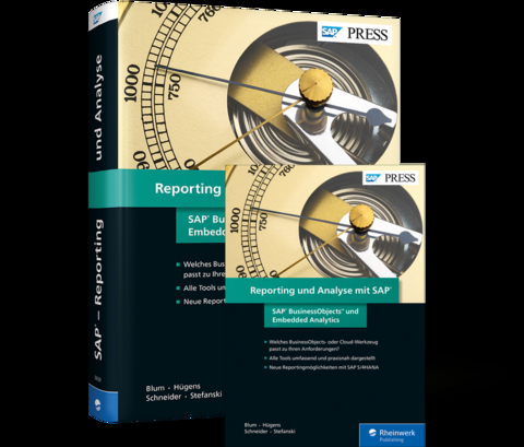Reporting und Analyse mit SAP - Torben Hügens, Steve Blum, Alexander Schneider, Marcel Stefanski