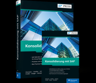 Konsolidierung mit SAP