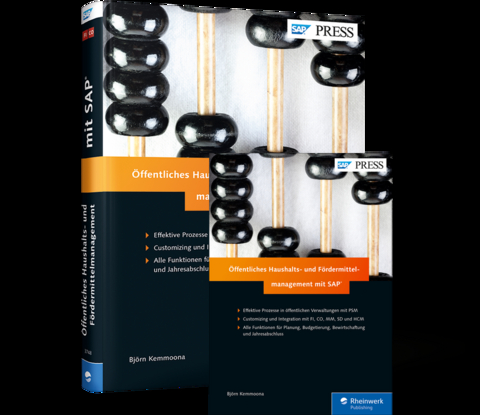 Öffentliches Haushalts- und Fördermittelmanagement mit SAP - Björn Kemmoona