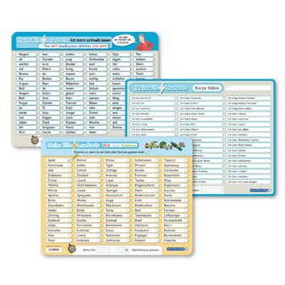 3 Blitzlesekarten im Set - 200 häufigste Wörter - Sätze - Themenwörter