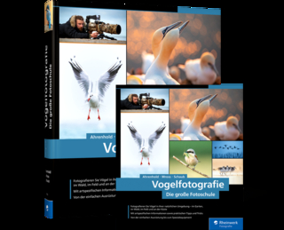 Vogelfotografie