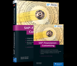 SAP-Finanzwesen – Customizing