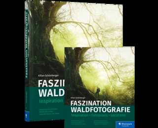 Faszination Waldfotografie