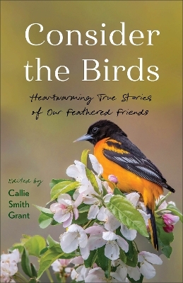 Consider the Birds - 