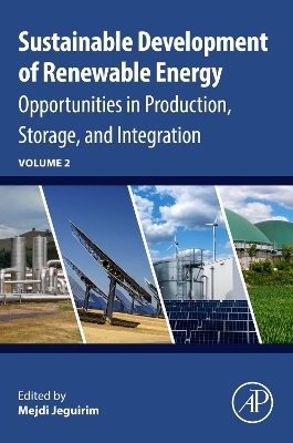 Sustainable Development of Renewable Energy - 