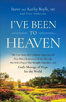 I've Been to Heaven - Steve Boyls, Kathy Boyls MD, Troy Anderson