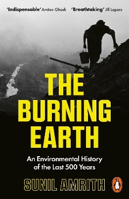 The Burning Earth - Sunil Amrith
