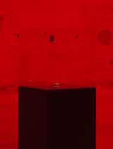 The End of the World - Alfredo Jaar