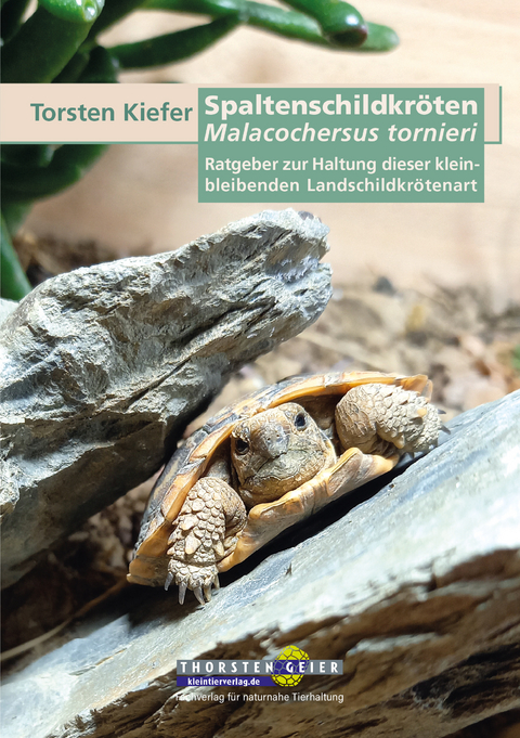 Spaltenschildkröten Malacochersus tornieri - Torsten Kiefer