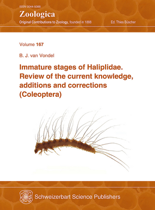 Immature stages of Haliplidae