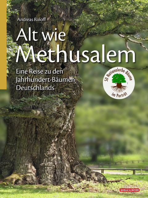 Alt wie Methusalem - 