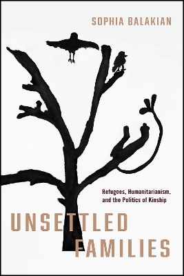 Unsettled Families - Sophia Balakian