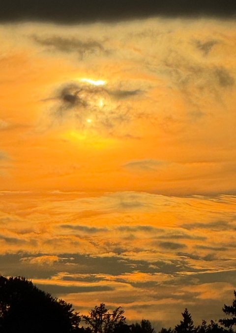 Die Abenteuer der kleinen Nebel Laus - Samuel L&uuml;hrs