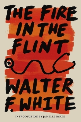 The Fire in the Flint - Walter F. White