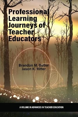 Professional Learning Journeys of Teacher Educators - 