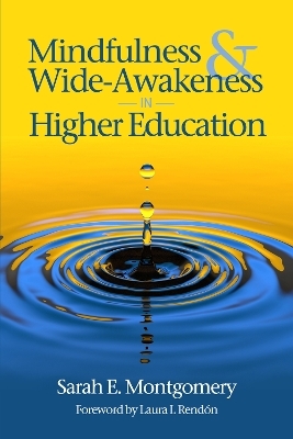 Mindfulness & Wide-Awakeness in Higher Education - Sarah E. Montgomery