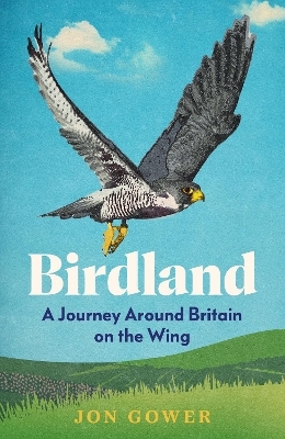 Birdland - Jon Gower