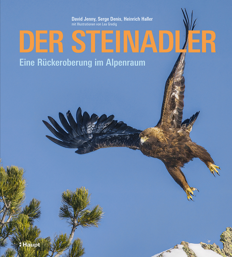 Der Steinadler - David Jenny, Serge Denis, Heinrich Haller