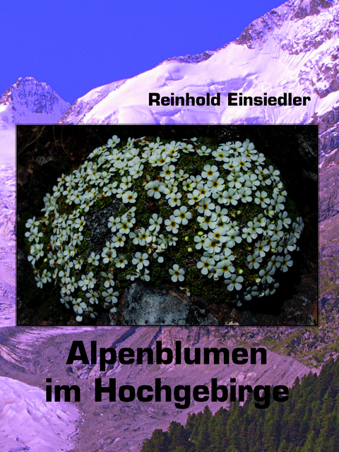 Alpenblumen im Hochgebirge - Reinhold Einsiedler
