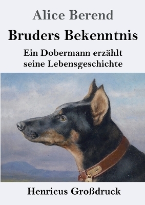 Bruders Bekenntnis (Gro&szlig;druck) - Alice Berend
