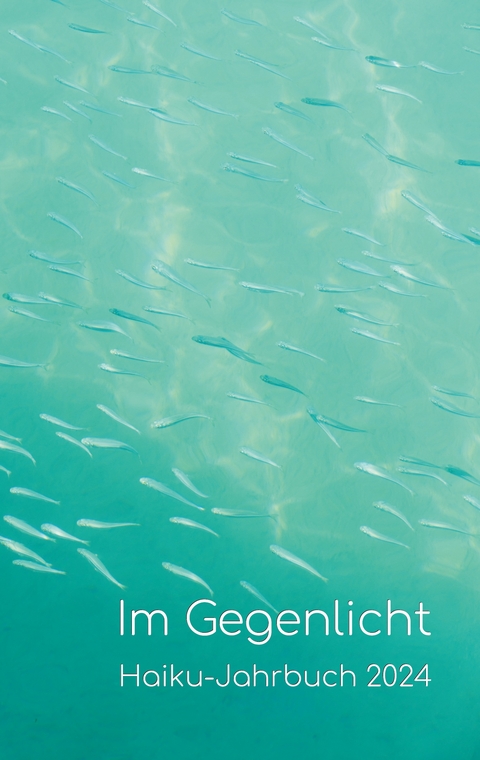 Im Gegenlicht - Volker Friebel