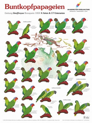 Poster Buntkopfpapageien