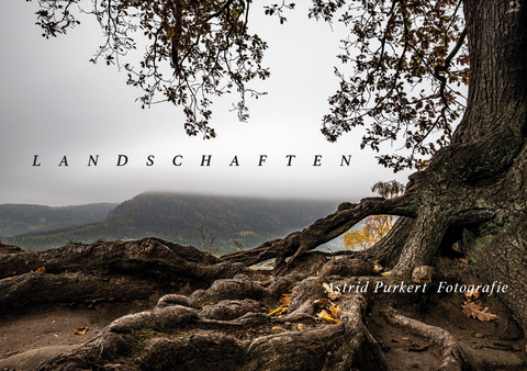 Landschaften - Astrid Purkert