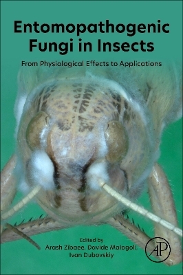 Entomopathogenic Fungi in Insects - 